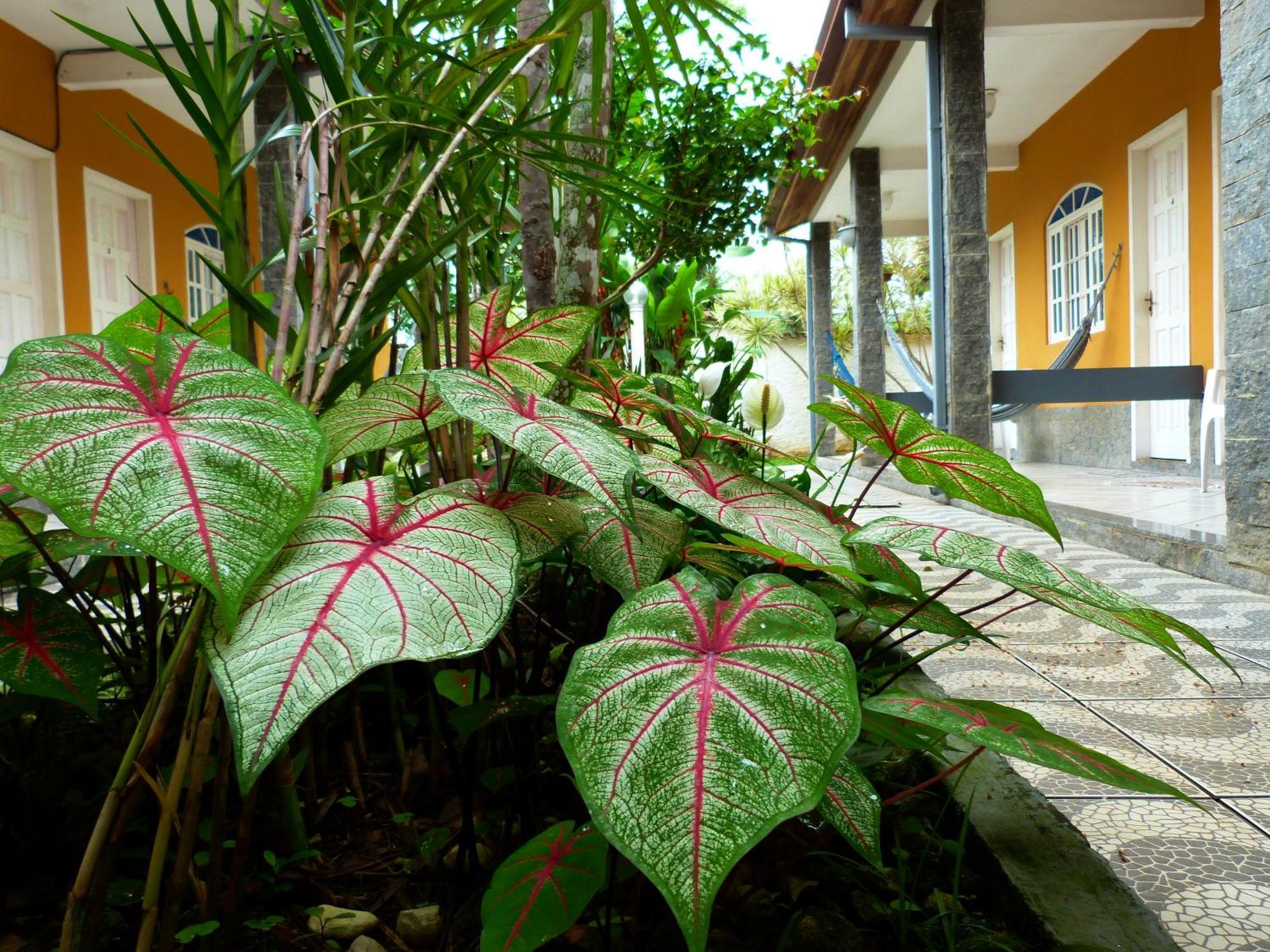 Villa Do Sonho Pousada Hotel Parati Esterno foto